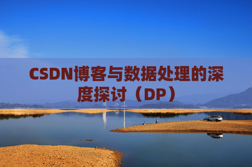 CSDN博客与数据处理的深度探讨（DP）